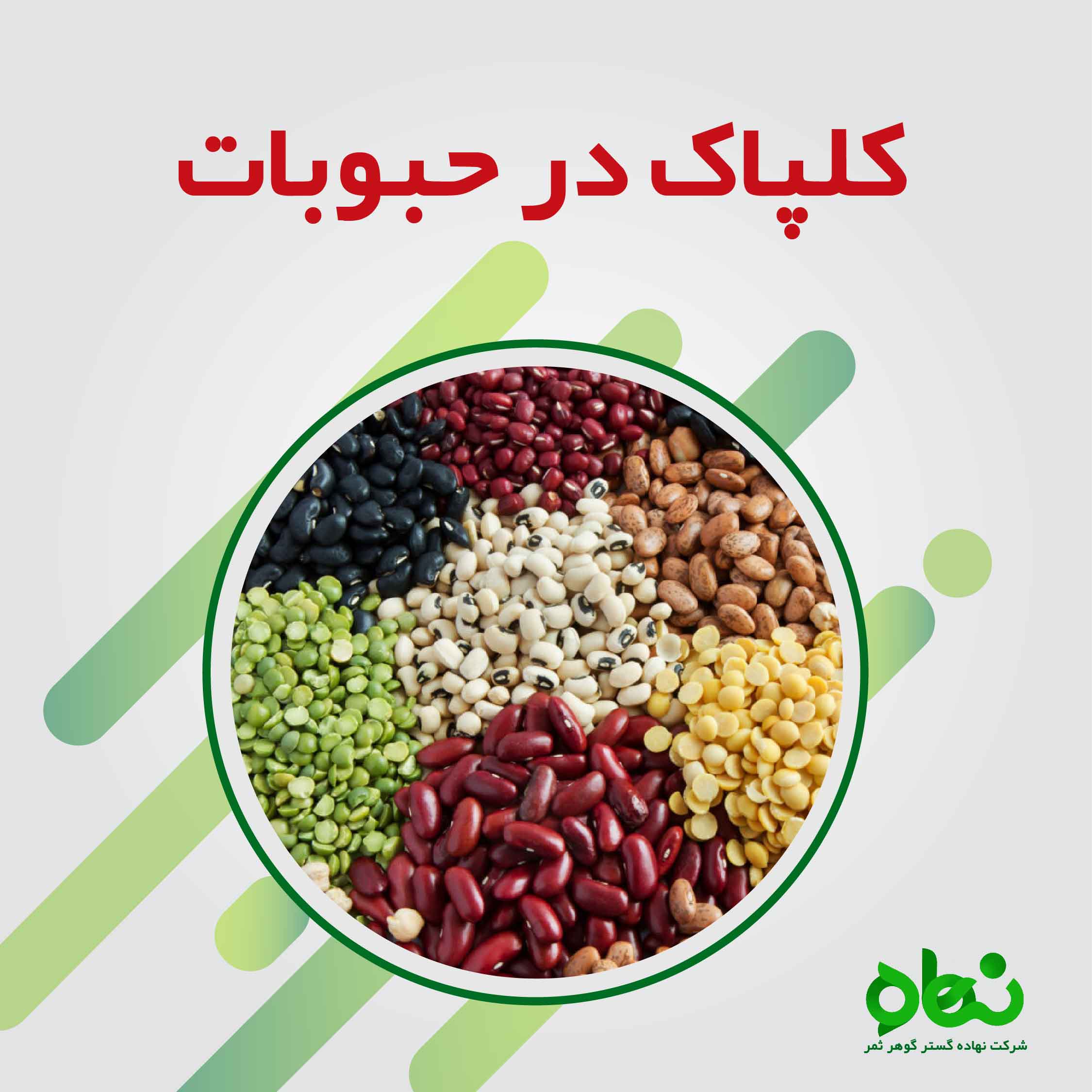 اثر کلپاک در حبوبات